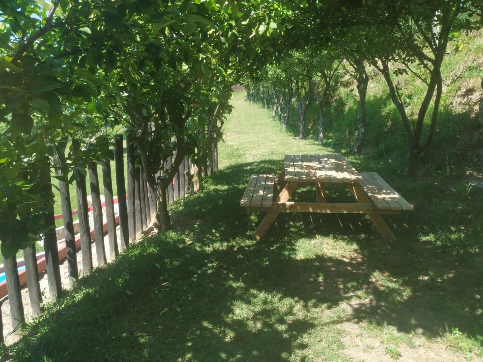 Quinta Dos Campos - Chale Villa Braga Bagian luar foto